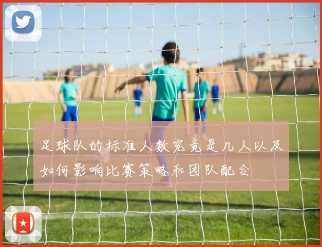 足球队的标准人数究竟是几人以及如何影响比赛策略和团队配合