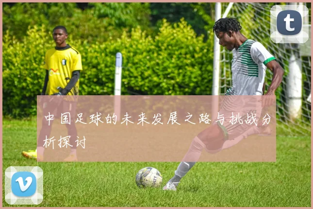 中国足球的未来发展之路与挑战分析探讨