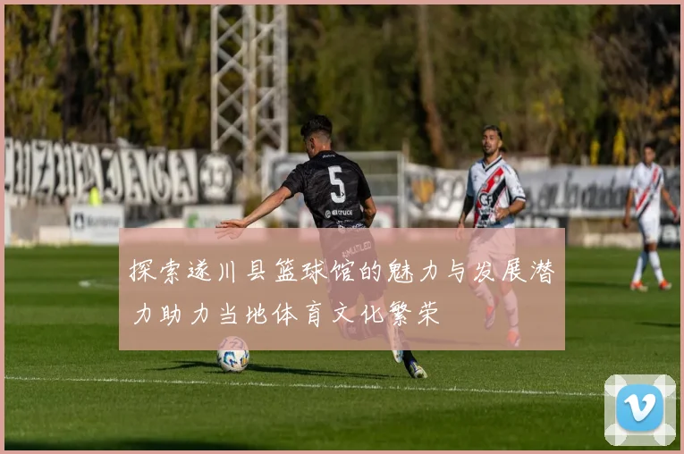 探索遂川县篮球馆的魅力与发展潜力助力当地体育文化繁荣